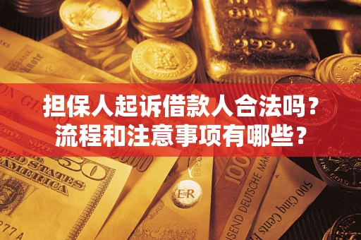 北京担保人起诉借款人合法吗？流程和注意事项有哪些？