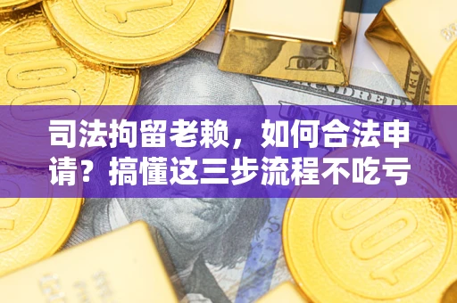 北京司法拘留老赖，如何合法申请？搞懂这三步流程不吃亏！