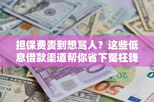 北京担保费贵到想骂人？这些低息借款渠道帮你省下冤枉钱