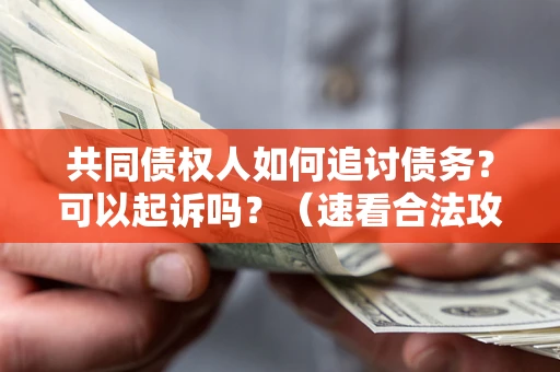 北京共同债权人如何追讨债务？可以起诉吗？（速看合法攻略）