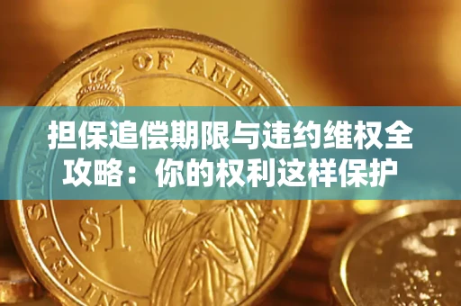 北京担保追偿期限与违约维权全攻略：你的权利这样保护