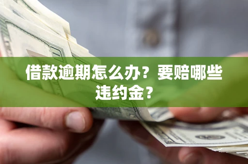 北京借款逾期怎么办？要赔哪些违约金？