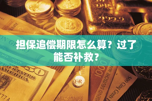 北京担保追偿期限怎么算？过了能否补救？